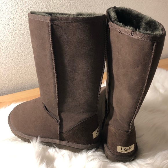 UGG Shoes - NWOT UGG Tall Boot